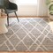 Safavieh Adirondack Small Rectangle Area RugIvory & Silver 4 x 6 ft. ADR128B-4 - alternate 3